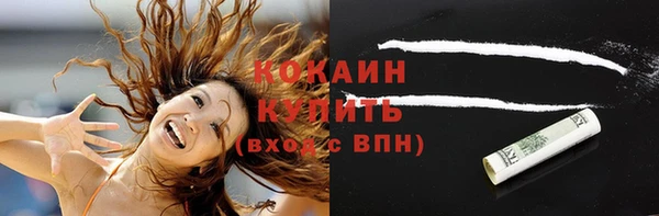 шишки Абинск