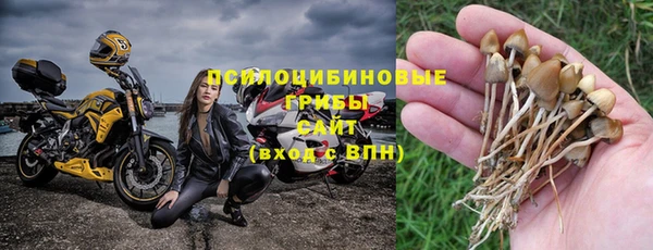 шишки Абинск