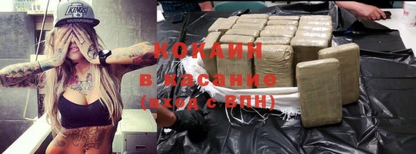 шишки Абинск